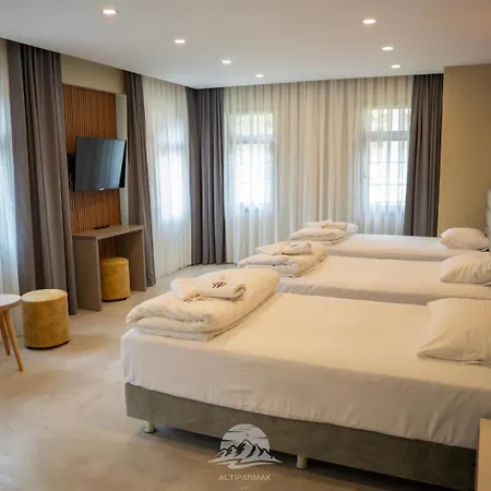 Hotel Altiparmak *